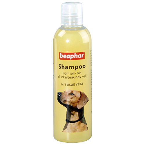 Beaphar Hunde Shampoo - Für hell- bis dunkelbraunes Fell - pH-neutral - 1er Pack (1 x 250 ml) von beaphar