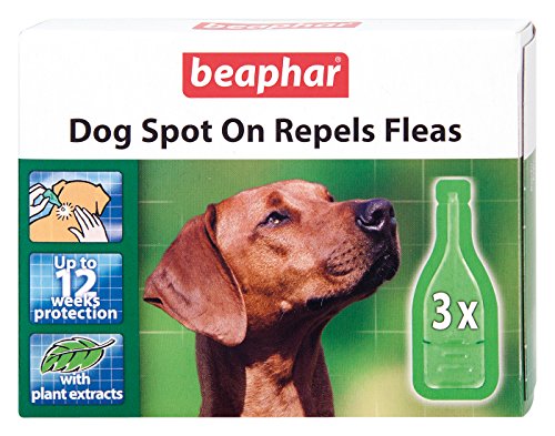 Beaphar Hunde Spot-on 12 Wochen Schutz (6 Stück) von beaphar