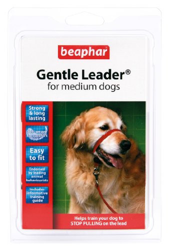 Beaphar Hundeleine für mittelgroße Hunde, Gr. M, Rot von beaphar
