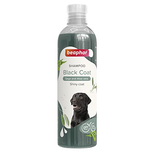 Beaphar Hundeshampoo, Schwarzhaar, 250 ml, natürliche Extrakte aus Aloe Vera und Salbei – pflegt und schützt die Haut und erhält die Haarfarbe – ideal für dunkle Haare – pH-neutral – 250 ml von beaphar