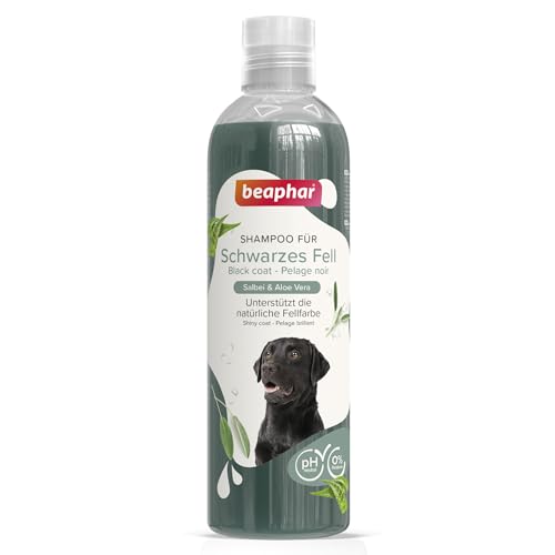BEAPHAR - Shampoo Für Schwarzes Fell - Unterstützt Die Natürliche Fellfarbe - Hautfreundlich - Mit Salbei Und Aloe Vera - Ph-Neutral - 0% Parabene, Silikone - Frischer Duft - Vegan - 250 ml BEAPHAR - Shampoo Für Schwarzes Fell - Unterstützt Die Natürliche Fellfarbe - Hautfreundlich - Mit Salbei Und Aloe Vera - Ph-Neutral - 0% Parabene, Silikone - Frischer Duft - Vegan - 250 ml von beaphar