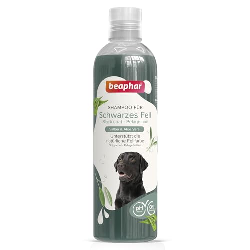 BEAPHAR - Shampoo Für Schwarzes Fell - Unterstützt Die Natürliche Fellfarbe - Hautfreundlich - Mit Salbei Und Aloe Vera - Ph-Neutral - 0% Parabene, Silikone - Frischer Duft - Vegan - 250 ml von beaphar
