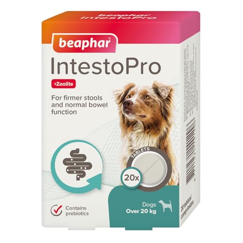 Beaphar IntestoPro Darm-Regulator Große Hunde – 20 Tabletten Beaphar IntestoPro Darm-Regulator Große Hunde – 20 Tabletten von Beaphar