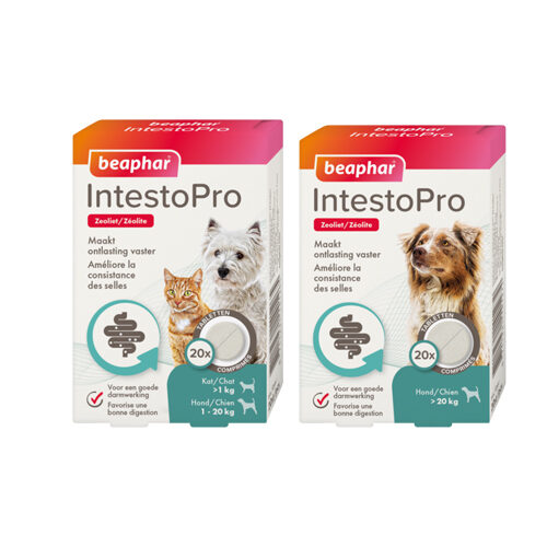 Beaphar IntestoPro Tabletten Katze/Hund bis 20 kg - 20 Tabletten Beaphar IntestoPro Tabletten Katze/Hund bis 20 kg - 20 Tabletten von beaphar
