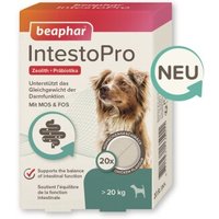 Beaphar IntestoPro Tabs für große Hunde 20 St. Beaphar IntestoPro Tabs für große Hunde 20 St. von beaphar