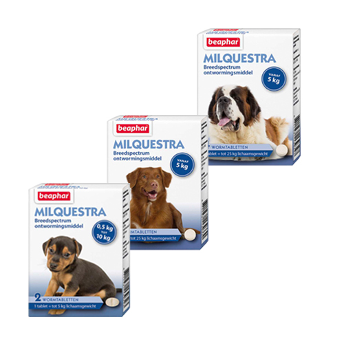 Beaphar Milquestra - großer Hund - 2 Tabletten von beaphar