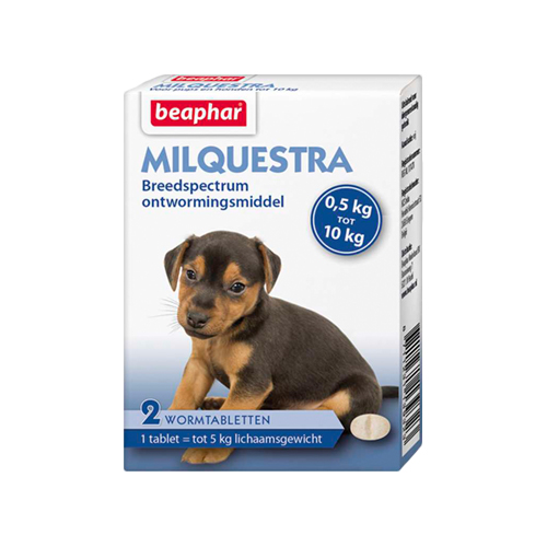 Beaphar Milquestra - großer Hund - 4 Tabletten von beaphar