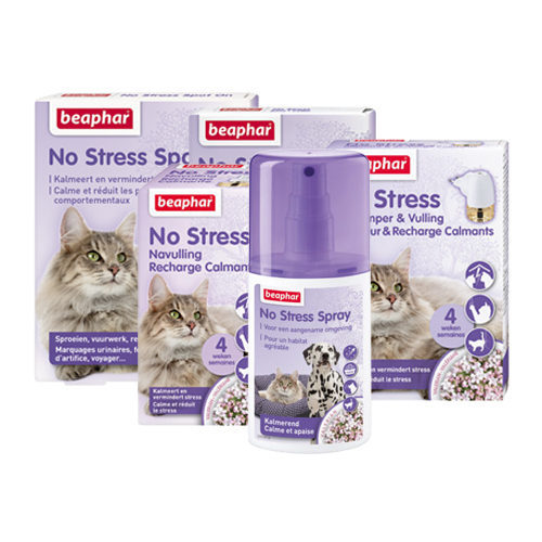 Beaphar No Stress Katze Nachfüllflakon - 30 ml von beaphar