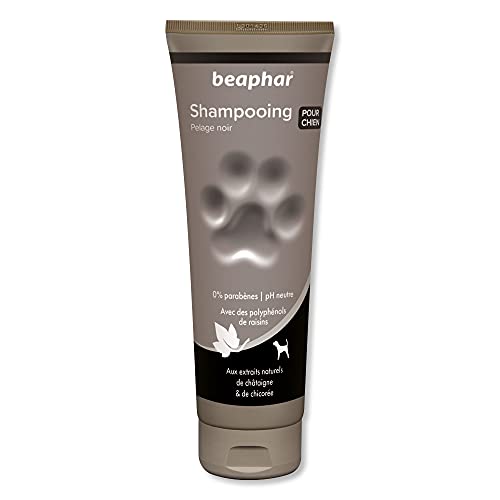 Beaphar Shampoo Hohe kosmetische Hunde Schwarzes oder dunkles Haar, eine Größe 250 ml 250 ml Beaphar Shampoo Hohe kosmetische Hunde Schwarzes oder dunkles Haar, eine Größe 250 ml 250 ml von beaphar