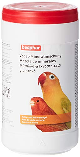 BEAPHAR - Vogel-Mineralmischung - Für Vögel - Reich An Kalk, Phosphor, Austerngrit - Unterstützt Knochengerüst Und Verdauung - 1,25 kg von beaphar