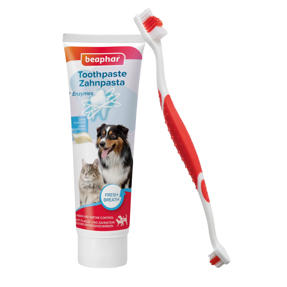 Beaphar Zahnpflege-Set - Zahnpasta & Bürste (100 g) von beaphar