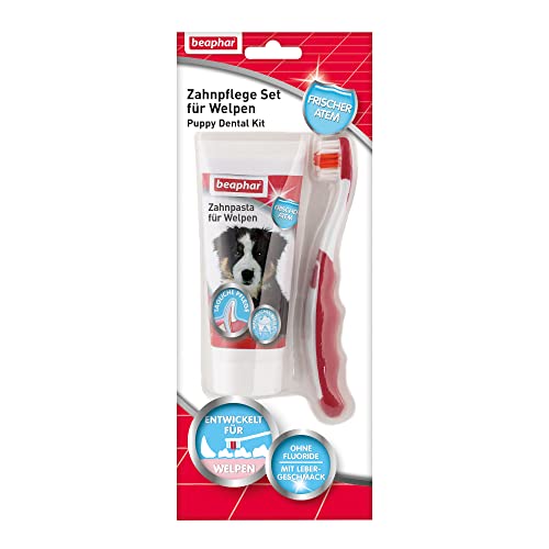 Beaphar Zahnpflege Set für Welpen - Für Hunde - Mit Leber-Geschmack - Zahnbürste und Zahnpasta - Set (1 Stück / 50 g) von beaphar