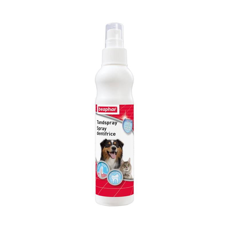 Beaphar Zahnspray - 150 ml Beaphar Zahnspray - 150 ml von beaphar