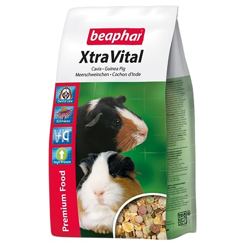 XtraVital Meerschweinchen Futter | Reich an Vitamin C | Mit zahnpflegenden Eigenschaften | Geringer Fettgehalt | Mit Echinacea & Alfalfa | 1 kg von beaphar