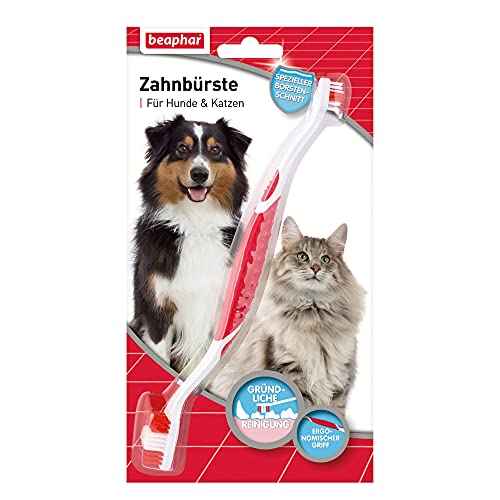 Beaphar Zahnbürste - Für Hunde und Katzen - Mit speziellem Borstenschnitt für gründliche und schonende Reinigung - 1 Stück, Rot von beaphar