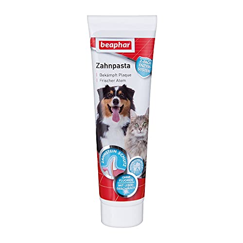 BEAPHAR - Zahnpasta Für Hunde Und Katzen - Schützt vor Plaque Und Zahnstein - Mit Leber-Geschmack - Ohne Fluoride - 100 g von beaphar