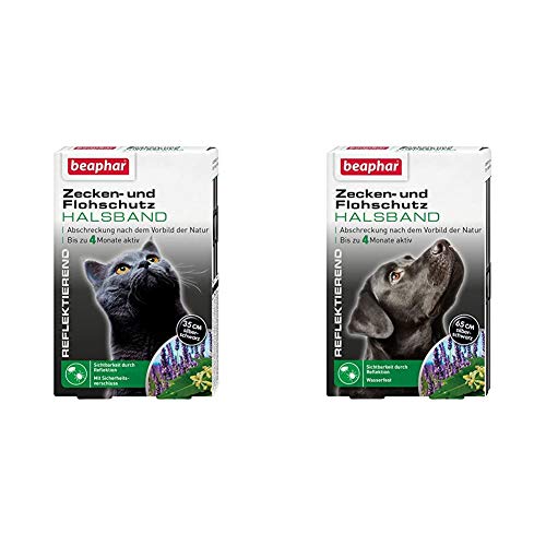 Zecken- & Flohschutz Halsband für Katzen | Zeckenschutz für Katzen | 1 Stk & Zecken- & Flohschutz Halsband für Hunde | Zeckenschutz für Hunde | Reflektierendes Halsband gegen Zecken & Flöhe | 1 Stk Zecken- & Flohschutz Halsband für Katzen | Zeckenschutz für Katzen | 1 Stk & Zecken- & Flohschutz Halsband für Hunde | Zeckenschutz für Hunde | Reflektierendes Halsband gegen Zecken & Flöhe | 1 Stk von beaphar