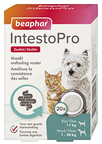 beaphar 14126 IntestoPro Katze/Hund bis 20kg von beaphar