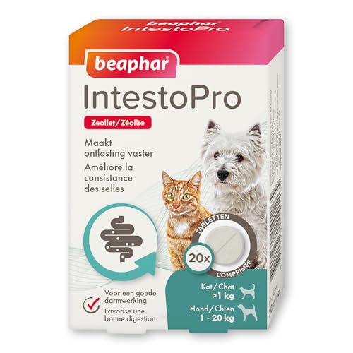 beaphar 14126 IntestoPro Katze/Hund bis 20kg von beaphar