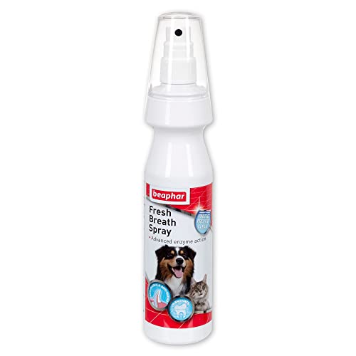 beaphar 24493/3752 Fresh Breath Spray 150ml beaphar 24493/3752 Fresh Breath Spray 150ml von beaphar