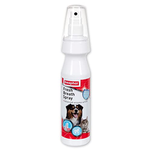 beaphar 24493/3752 Fresh Breath Spray 150ml von beaphar