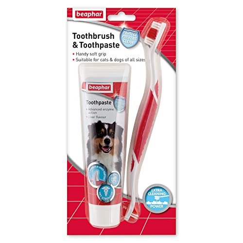 beaphar 8711231153039 Toothbrush & Toothpaste for Dogs beaphar 8711231153039 Toothbrush & Toothpaste for Dogs von beaphar