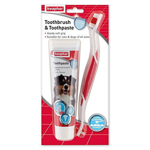 beaphar 8711231153039 Toothbrush & Toothpaste for Dogs von beaphar