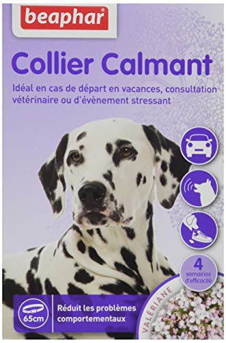 Beaphar - Beruhigende Halskette auf Baldrian-Basis für Hund, Mittel, Lavendel, Metall, 4 Wochen Wirksamkeit Beaphar - Beruhigende Halskette auf Baldrian-Basis für Hund, Mittel, Lavendel, Metall, 4 Wochen Wirksamkeit von beaphar