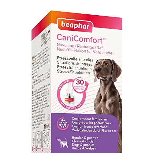 BEAPHAR - CaniComfort® Nachfüll-Flakon Für Verdampfer - Für Hunde Und Welpen - Pheromon-Technologie - Beruhigt In Stress-Situationen - Wirkt 30 Tage - Reicht Für Bis Zu 70m2 - 48ml von beaphar