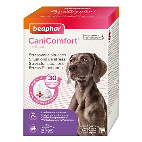 Beaphar CaniComfort Starter-Kit, Beruhigungsmittel für Hunde mit Pheromonen von beaphar