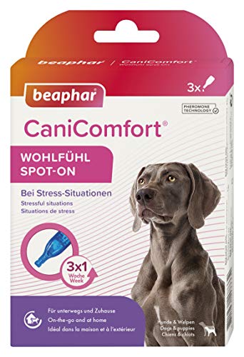 beaphar CaniComfort Wohlfühl Spot-On,Beruhigungsmittel für Hunde mit Pheromonen, 3er Pack ( 3 x 1 ml ) von beaphar