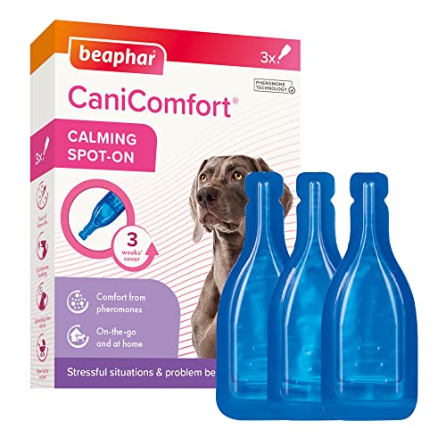 beaphar CaniComfort Wohlfühl Spot-On,Beruhigungsmittel für Hunde mit Pheromonen, 3er Pack ( 3 x 1 ml ) von beaphar