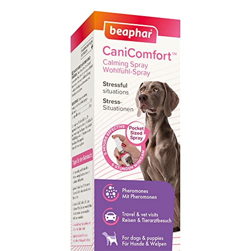 beaphar CaniComfort Wohlfühl-Spray, Beruhigungsmittel für Hunde mit Pheromonen, 30 ml von beaphar
