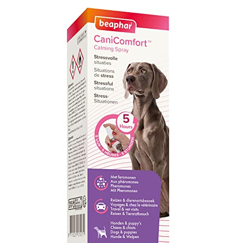 BEAPHAR - CaniComfort® Wohlfühl-Spray - Für Hunde Und Welpen - Pheromon-Technologie - Beruhigt In Stress-Situationen, Auf Reisen Und Bei Tierarztbesuchen - Wirkt 5 Stunden - 60 ml von beaphar