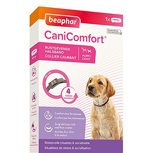 Beaphar Canicomfort Hundehalsband, beruhigend, Pheromone, 45 cm Beaphar Canicomfort Hundehalsband, beruhigend, Pheromone, 45 cm von beaphar