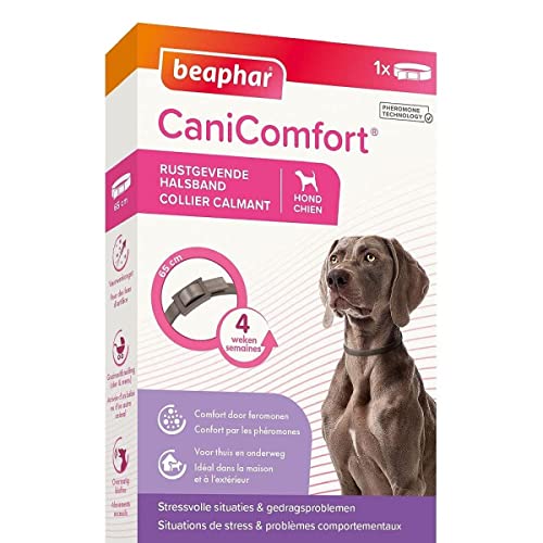 Beaphar Canicomfort Hundehalsband, beruhigend mit Pheromonen, 1 Stück, 65 cm von beaphar
