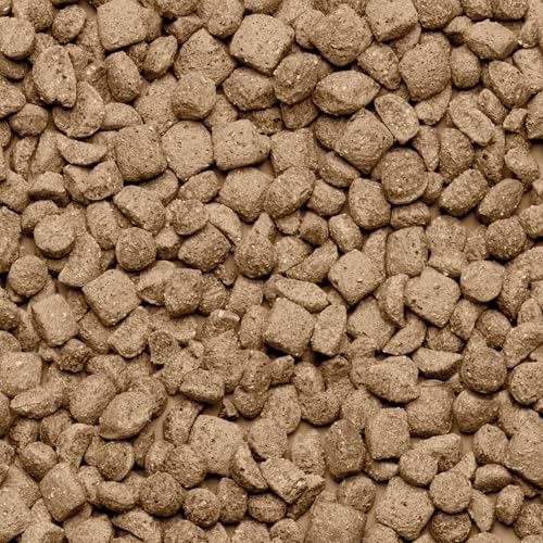 Care+ Rat 700gr Care+ Rat 700gr von beaphar