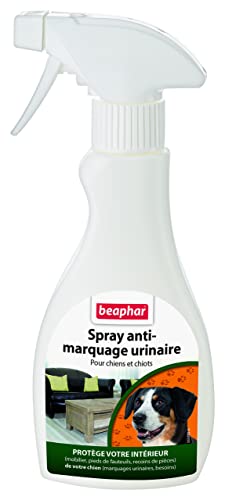 beaphar Erzieherischer Zerstäuber für Welpen, 400 ml beaphar Erzieherischer Zerstäuber für Welpen, 400 ml von beaphar