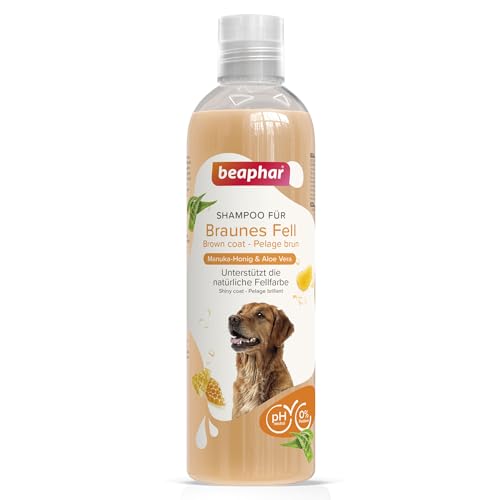 BEAPHAR - Shampoo Für Braunes Fell - Unterstützt Die Natürliche Fellfarbe - Hautfreundlich - Mit Manuka-Honig Und Aloe Vera - Ph-Neutral - 0% Parabene, Silikone - Frischer Duft - 250 ml von beaphar