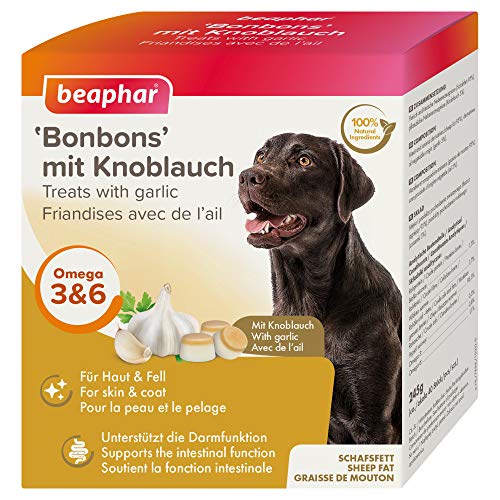 beaphar Knoblauch Bonbons für Hunde | Hunde-Leckerlies | Hunde Snacks mit Omega 3 6 9 | Zur Unterstützung der Darmflora | Ohne künstliche Zusatzstoffe | 245 g von beaphar