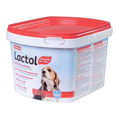 BEAPHAR - Lactol Aufzucht-Milch - Für Hundewelpen - Von Geburt An - Muttermilchersatz Mit DHA, Vitaminen Und Mineralien - Unterstützt Gesunde Aufzucht Und Stärkung - 1 kg von beaphar