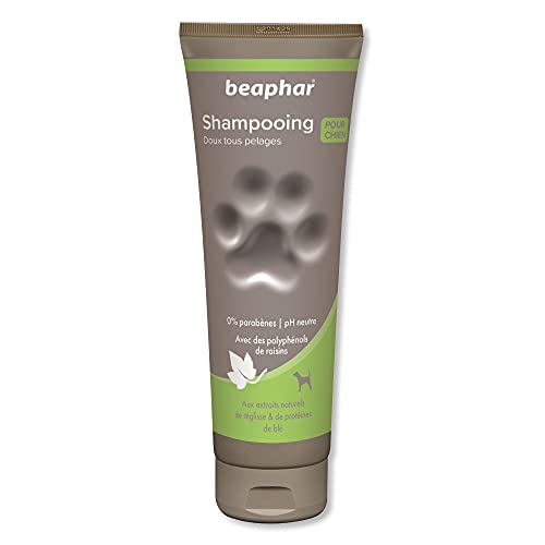 Beaphar Shampoo Hohe kosmetische Hunde Alle Arten von Haaren, eine Größe 250 ml 250 ml von beaphar