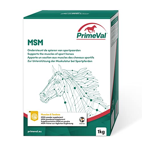 beaphar PrimeVal MSM - 100% Methylsulfonylmethan (MSM) - Organischer Schwefel, schnelle Absorption, Reduzierung von Gelenkschmerzen und Entzündungen, Muskelunterstützung - 1 kg von beaphar