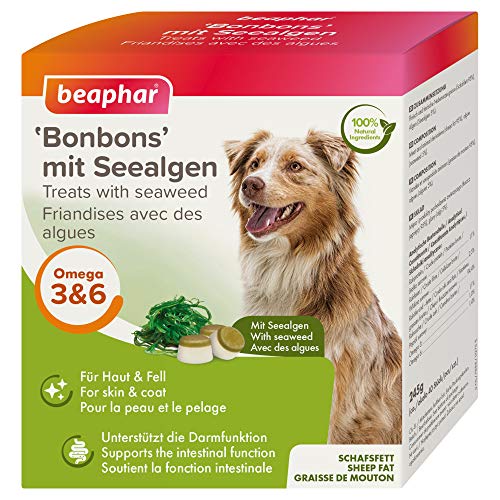 BEAPHAR - 'Bonbons' Mit Seealgen - Für Hunde - Schafsfett, Seealgen - Unterstützt Gesundes Fell, Verdauung - 40 Bonbons - 245 g von beaphar