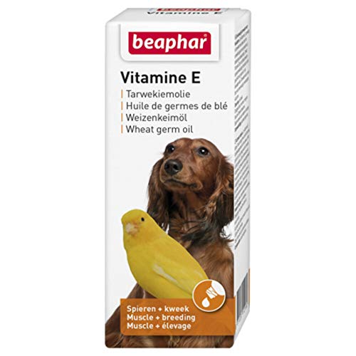beaphar Vitamine E Tarwekiemolie 100 ML beaphar Vitamine E Tarwekiemolie 100 ML von beaphar