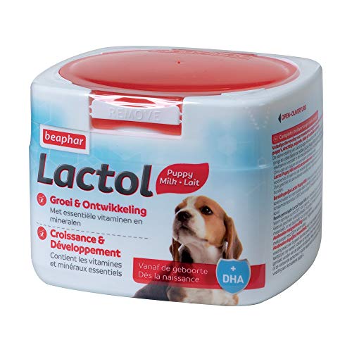 Beaphar - LACTOL - Säuglingsmilch Pulver - Angereichert mit DHA - Hochwertige Proteinquelle - Für ungeentwöhnte, Schwangere oder stillende Welpen und ältere oder kranke Hunde - 250 g von beaphar
