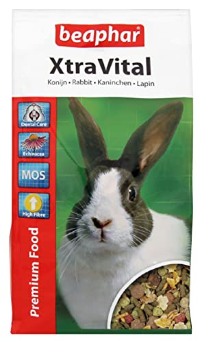beaphar XtraVital Kaninchen Futter | Ausgewogenes Kaninchenfutter | Mit zahnpflegenden Eigenschaften | Geringer Fettgehalt | Mit Echinacea & Alfalfa | 1 kg von beaphar