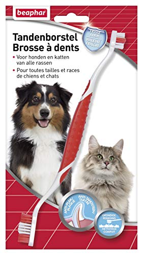 beaphar Hunde- und Katzenzahnbürste, frischer Atem - Anti-Plaque & Kalk - Komplettreinigung - praktisch & einfach zu bedienen - für alle Größen/Rassen von Hunden & Katzen - 1 Bürste von beaphar