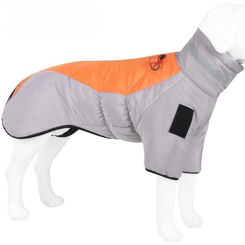 Hunderegenmantel – Wasserdichter Hundemantel (grau+orange, 2XL) von bebeibon
