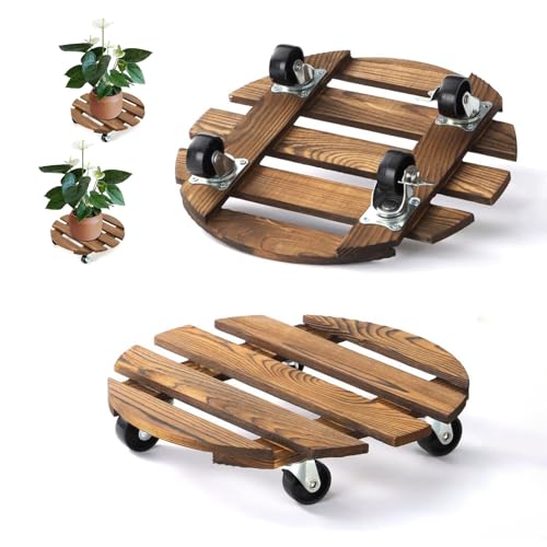 bechoanigel Pflanzenroller, 30 * 6.5 cm Rollbrett Pflanzen,80 Kg Tragkraft,Blumenroller für Außenbereich und Innenbereich, Blumentopf Untersetzer mit Rollen, Pflanzenroller Rund 360° Drehung bechoanigel Pflanzenroller, 30 * 6.5 cm Rollbrett Pflanzen,80 Kg Tragkraft,Blumenroller für Außenbereich und Innenbereich, Blumentopf Untersetzer mit Rollen, Pflanzenroller Rund 360° Drehung von bechoanigel
